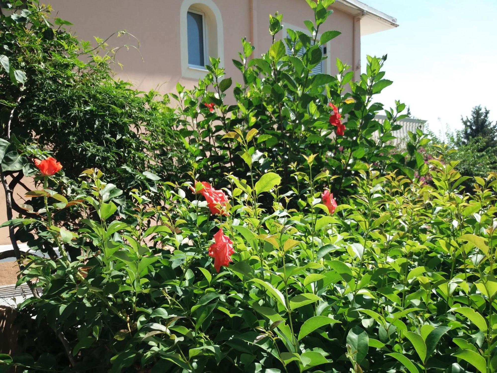 Apostolos & Eleni Family Apartments Perama  Bagian luar foto